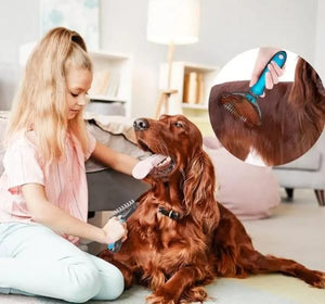 Pets Care